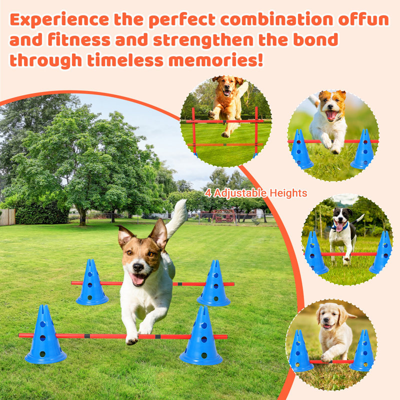 Qeetex Speed Agile Hurdle Cone Set, 6 PCS Training Kit with 12